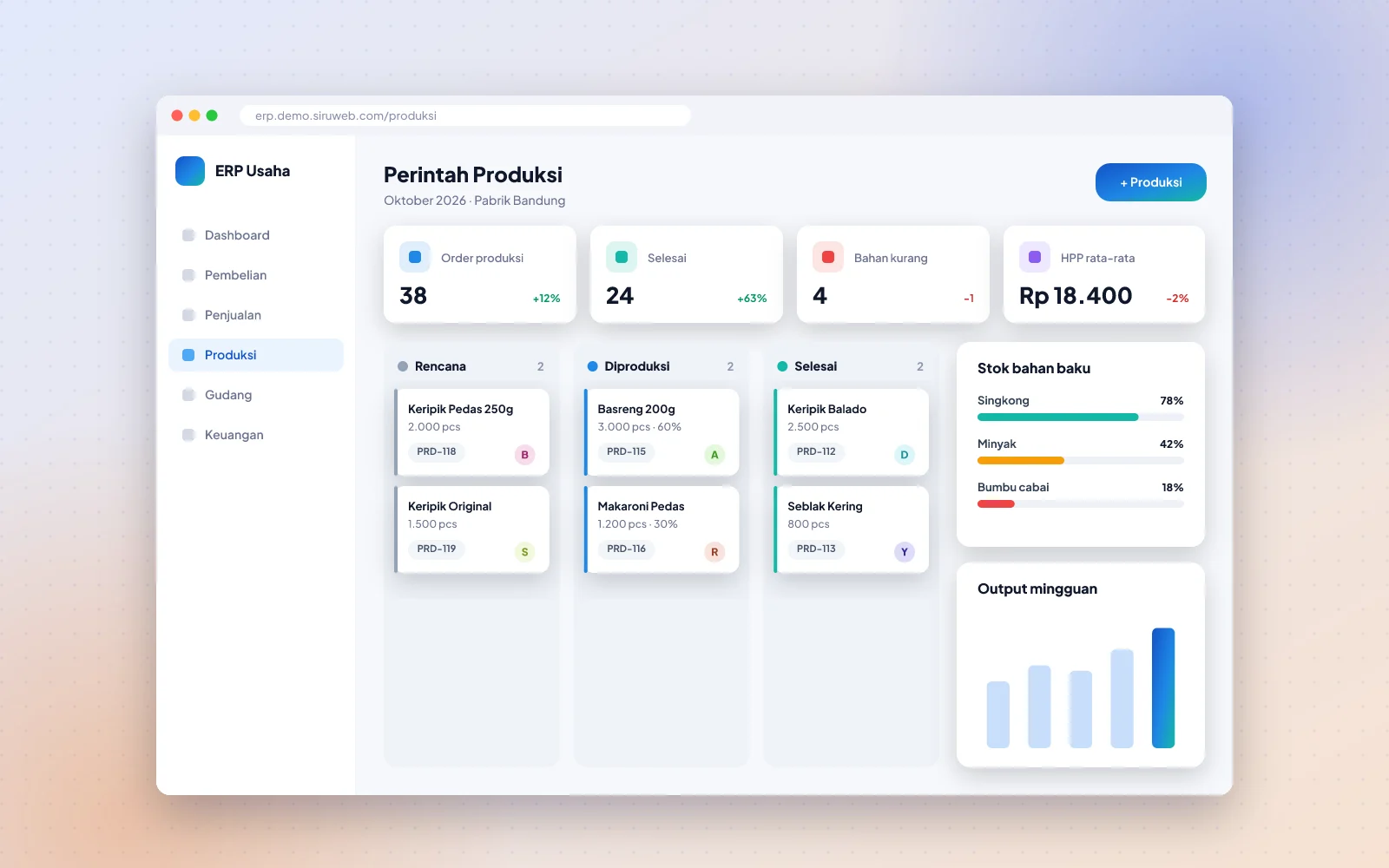 Contoh tampilan ERP untuk UMKM